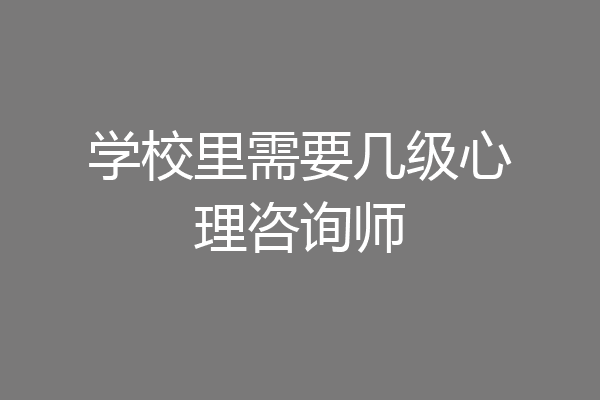 学校里需要几级心理咨询师