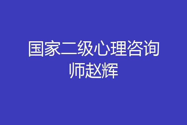 国家二级心理咨询师赵辉