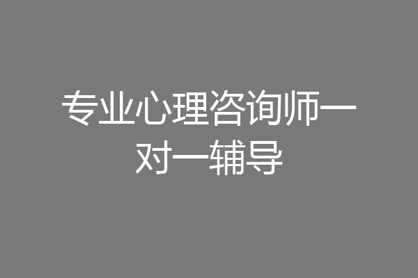 专业心理咨询师一对一辅导