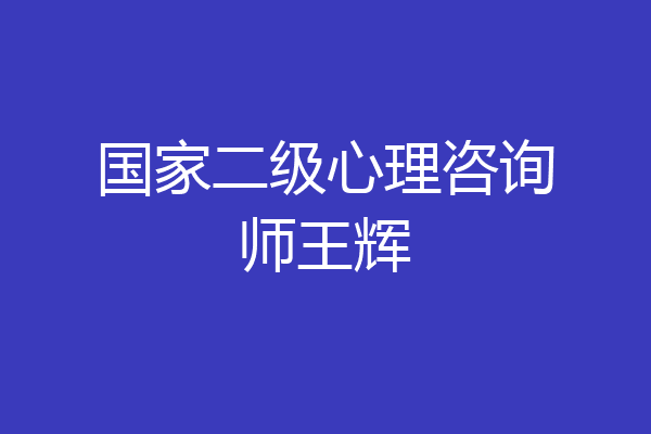 国家二级心理咨询师王辉