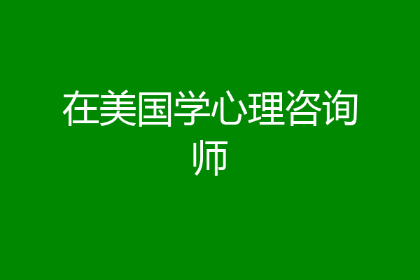 在美国学心理咨询师