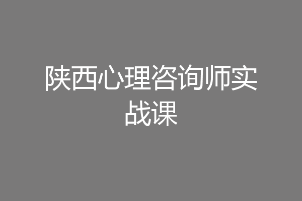 陕西心理咨询师实战课