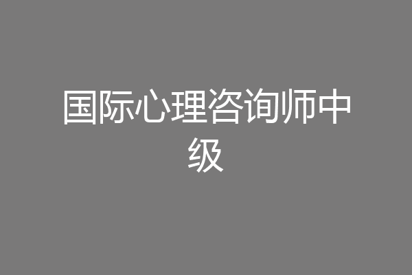 国际心理咨询师中级