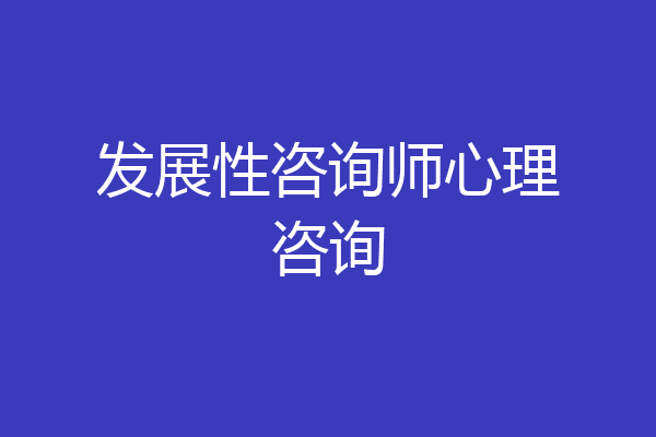 发展性咨询师心理咨询