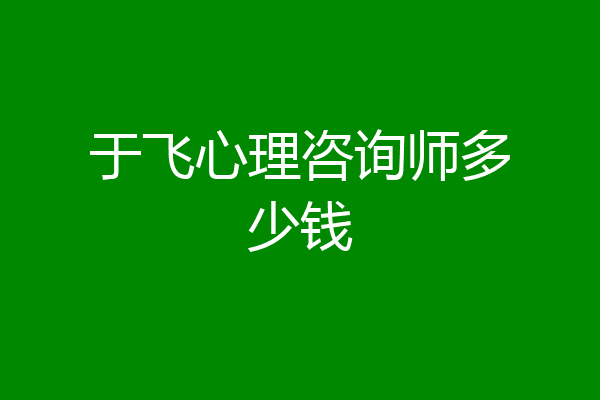 于飞心理咨询师多少钱