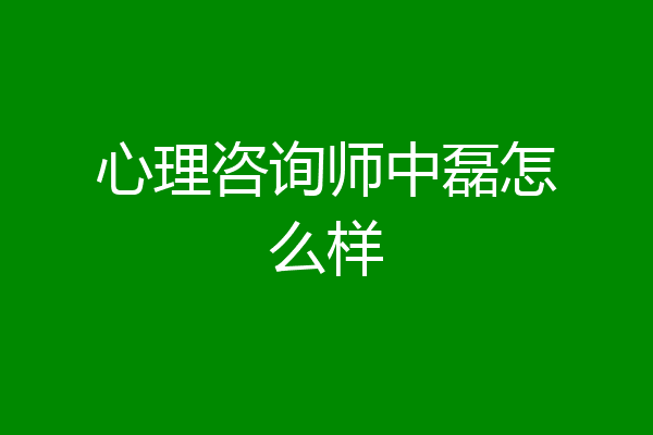 心理咨询师中磊怎么样