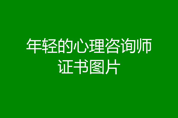 年轻的心理咨询师证书图片
