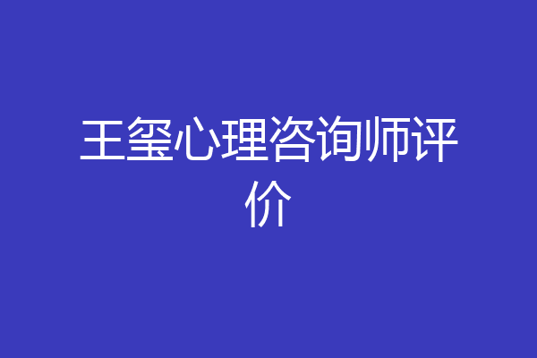 王玺心理咨询师评价