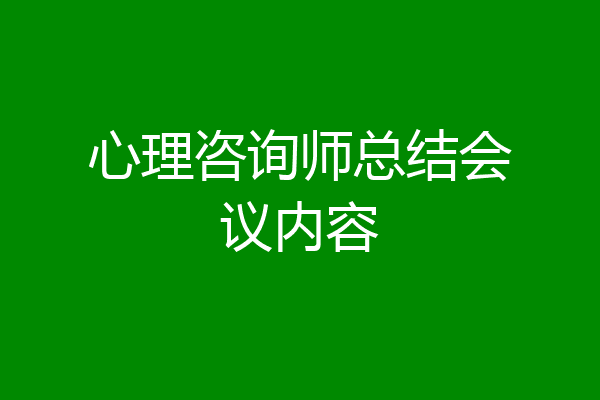 心理咨询师总结会议内容