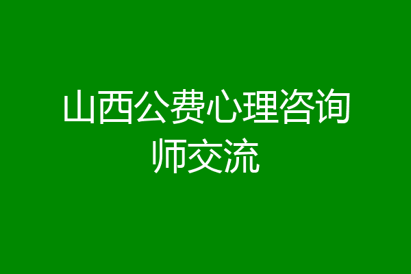 山西公费心理咨询师交流