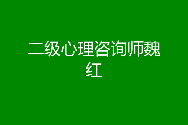 二级心理咨询师魏红