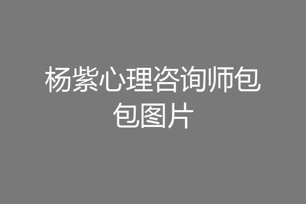 杨紫心理咨询师包包图片