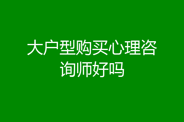 大户型购买心理咨询师好吗