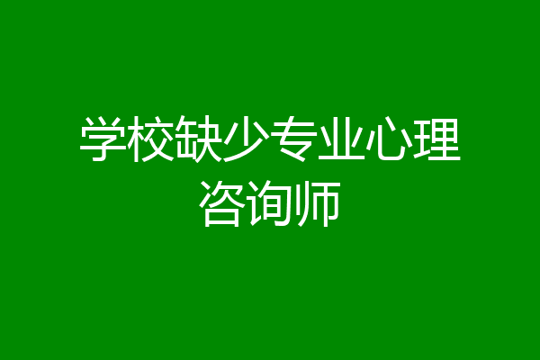 学校缺少专业心理咨询师