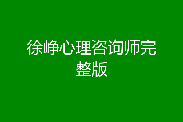 徐峥心理咨询师完整版