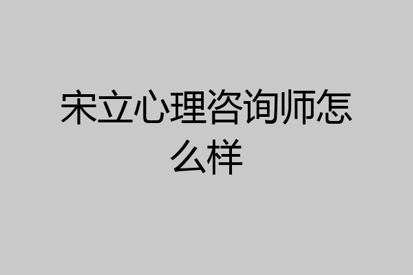 宋立心理咨询师怎么样
