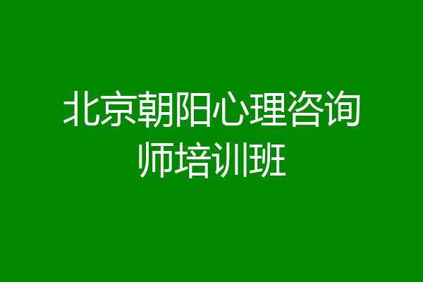 北京朝阳心理咨询师培训班