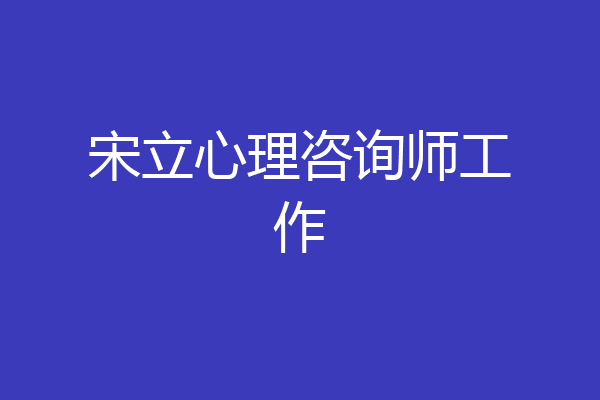 宋立心理咨询师工作