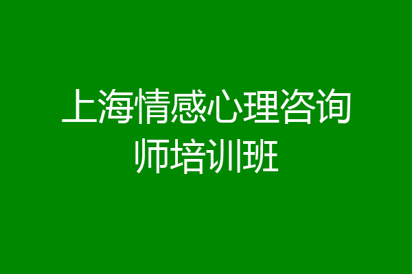 上海情感心理咨询师培训班