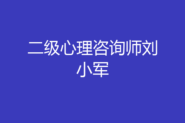 二级心理咨询师刘小军