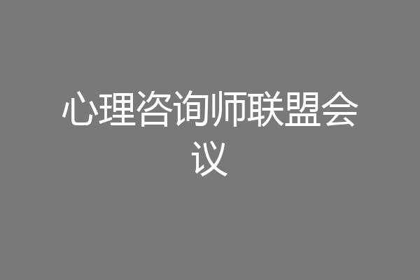 心理咨询师联盟会议