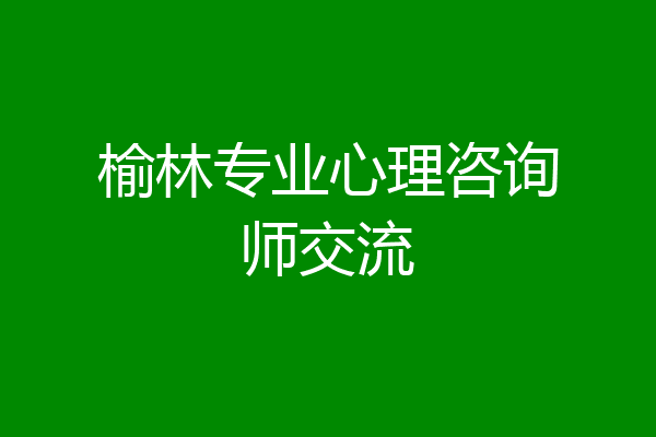 榆林专业心理咨询师交流