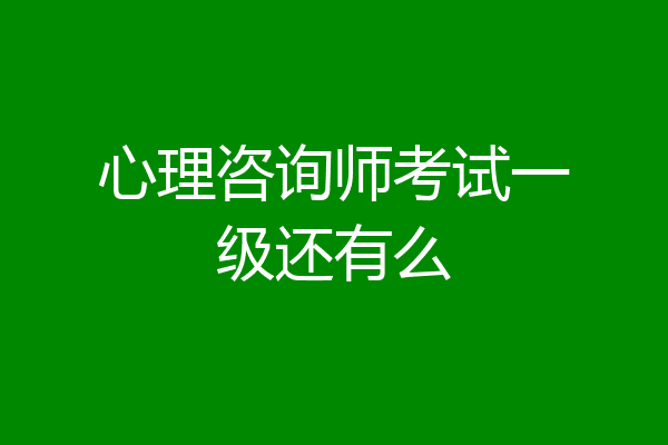 心理咨询师考试一级还有么