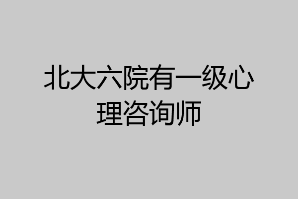 北大六院有一级心理咨询师