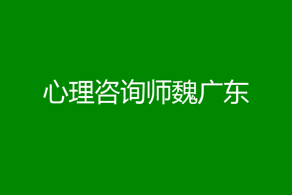 心理咨询师魏广东