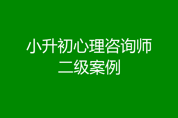 小升初心理咨询师二级案例