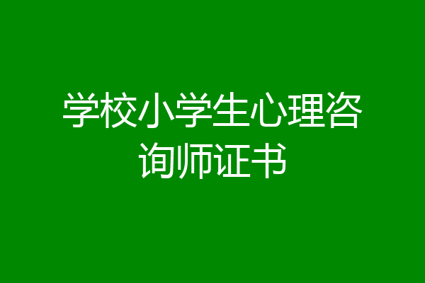 学校小学生心理咨询师证书