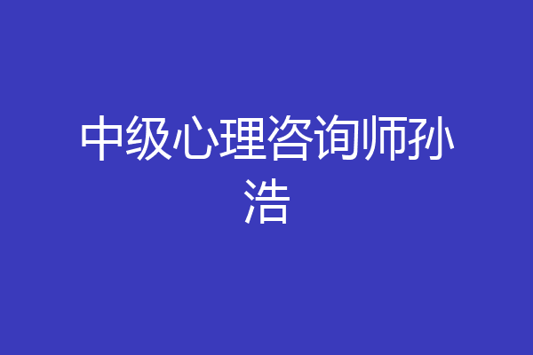 中级心理咨询师孙浩