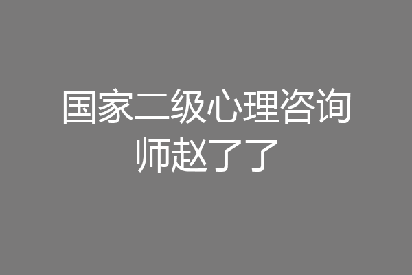 国家二级心理咨询师赵了了