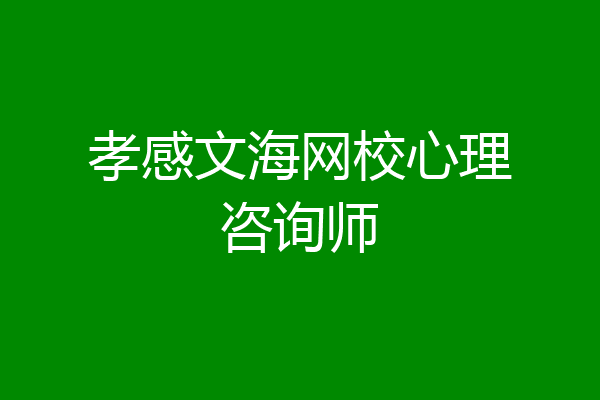 孝感文海网校心理咨询师