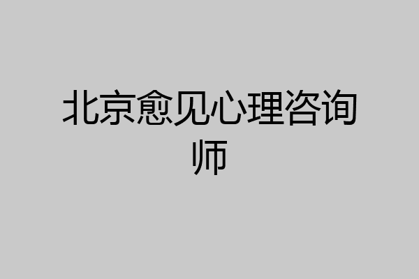 北京愈见心理咨询师