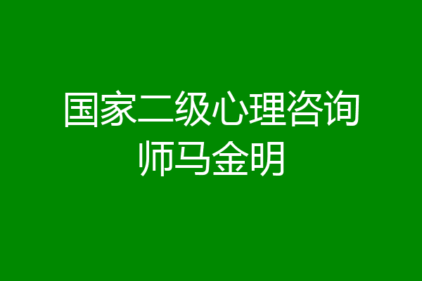 国家二级心理咨询师马金明