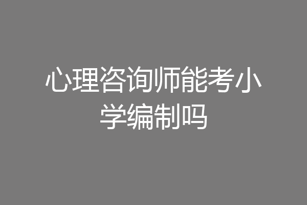 心理咨询师能考小学编制吗