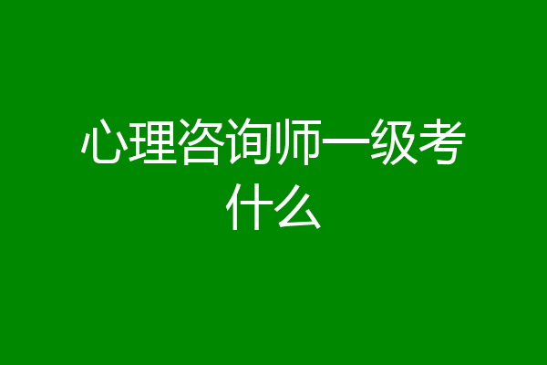心理咨询师一级考什么