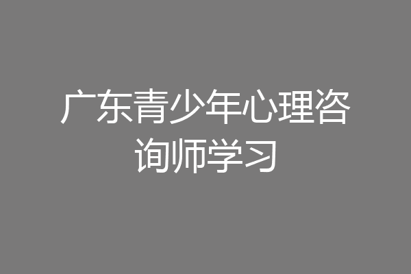 广东青少年心理咨询师学习