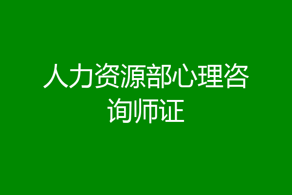人力资源部心理咨询师证