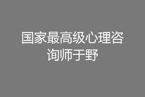 国家最高级心理咨询师于野