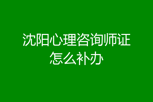 沈阳心理咨询师证怎么补办