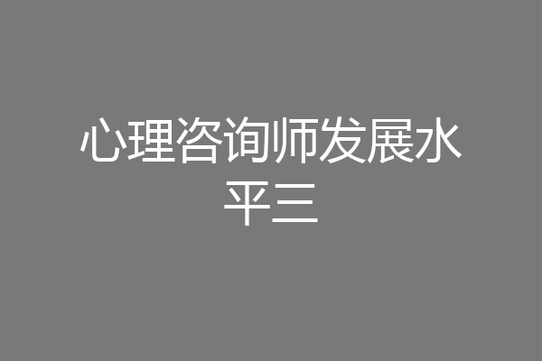 心理咨询师发展水平三