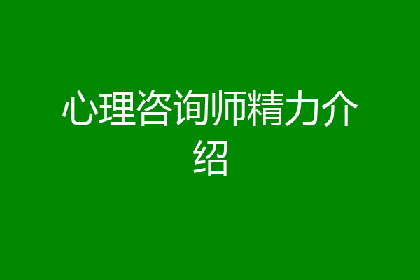 心理咨询师精力介绍
