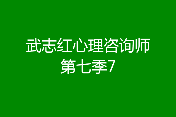 武志红心理咨询师第七季7