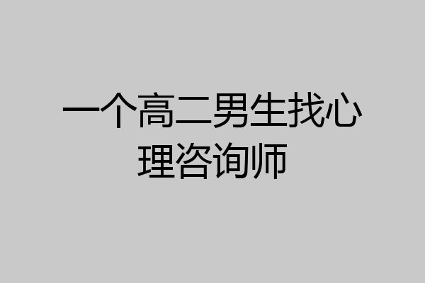 一个高二男生找心理咨询师