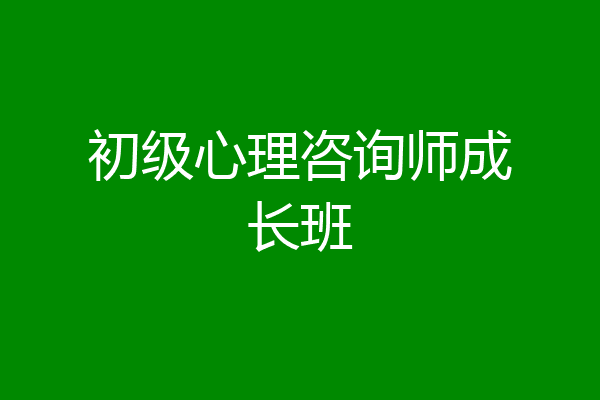 初级心理咨询师成长班