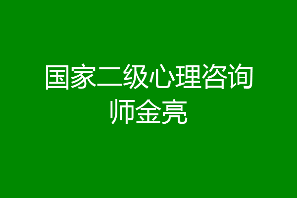 国家二级心理咨询师金亮