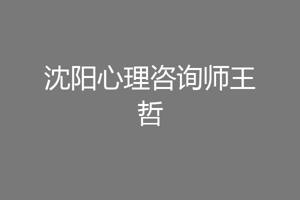 沈阳心理咨询师王哲