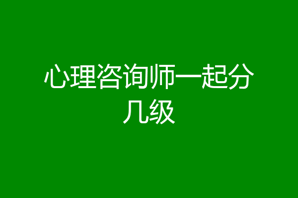 心理咨询师一起分几级